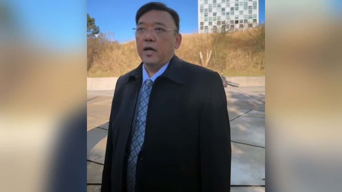Harry Roque ICC Hague Duterte